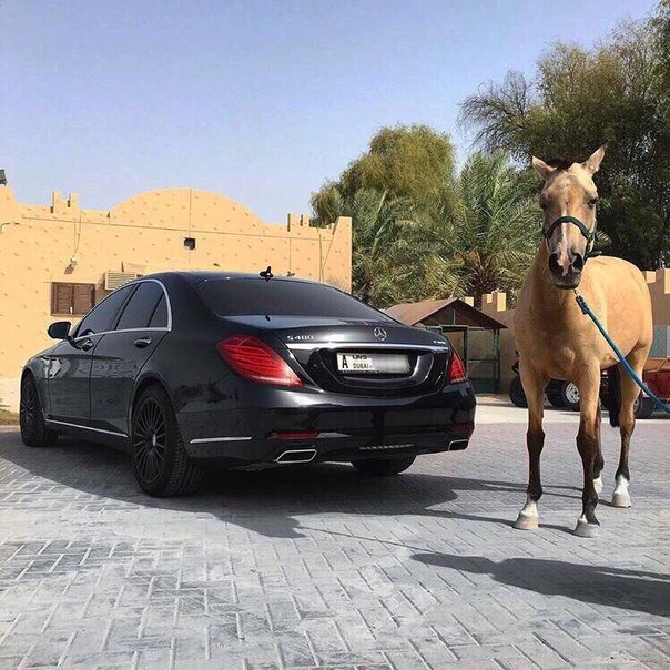 Нурасыл Бозтай